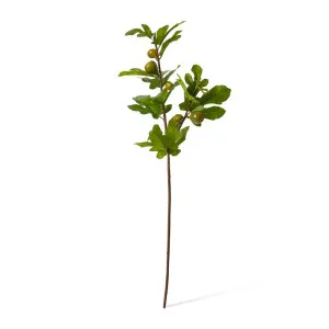 Fig Branch - 20 x 32 x 86cm by Elme Living, a Plants for sale on Style Sourcebook