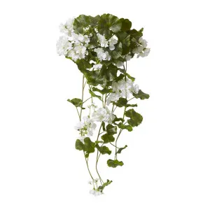 Geranium (Outdoor) Bush - 69 x 76 x 86cm by Elme Living, a Plants for sale on Style Sourcebook