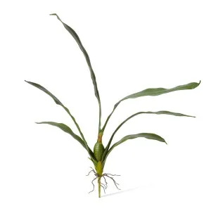 Orchid Oncidium  Leaf - 17 x 44 x 72cm by Elme Living, a Plants for sale on Style Sourcebook