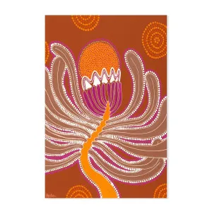 Banksia , By Domica Hill by Gioia Wall Art, a Aboriginal Art for sale on Style Sourcebook