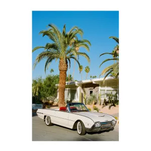 Palm Springs Thunderbird , By Bethany Young by Gioia Wall Art, a Prints for sale on Style Sourcebook