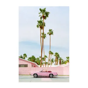 Pink Palm Springs , By Bethany Young by Gioia Wall Art, a Prints for sale on Style Sourcebook