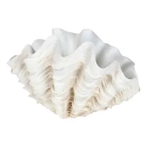 Ulla Clamshell Ornament 48.5x28.5cm in Shell by OzDesignFurniture, a Statues & Ornaments for sale on Style Sourcebook