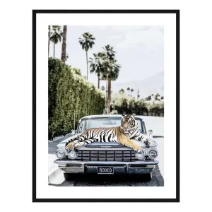 Rodeo Tiger Framed Print in 84 x 118cm by OzDesignFurniture, a Prints for sale on Style Sourcebook