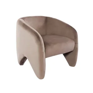 Maine Arm Chair - Taupe Velvet by CAFE Lighting & Living, a Chairs for sale on Style Sourcebook