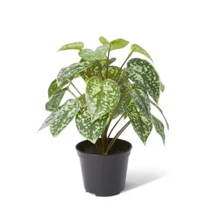 Aluminium Bush - 20 x 20 x 28cm by Elme Living, a Plants for sale on Style Sourcebook