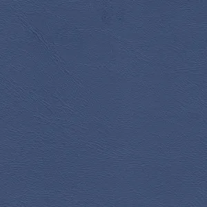 Studio Encore Atlantic by Austex, a Vinyl for sale on Style Sourcebook