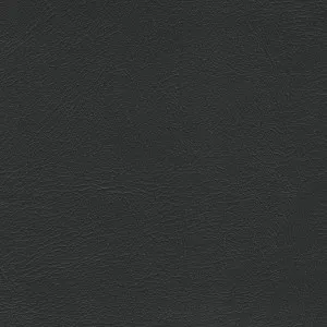 Studio Encore Black by Austex, a Vinyl for sale on Style Sourcebook