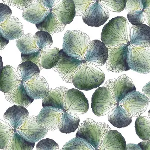 Hydrangea Teal by Fusion, a Fabrics for sale on Style Sourcebook