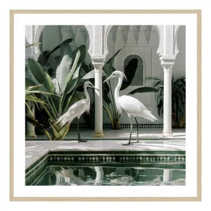 Azou Framed Print in 60 x 60cm by OzDesignFurniture, a Prints for sale on Style Sourcebook