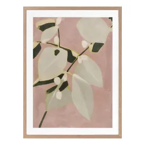 Sweet Leaves I Framed Print in 55 x 70cm by OzDesignFurniture, a Prints for sale on Style Sourcebook