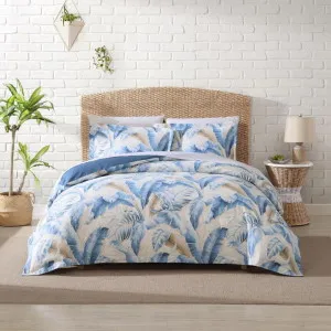 Tommy Bahama Palmiers Blue Quilt Cover Set by null, a Quilt Covers for sale on Style Sourcebook