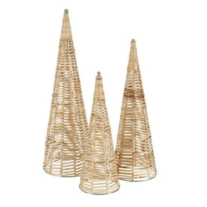 Cane Cone Tree Set Of 3 by Florabelle Living, a Plants for sale on Style Sourcebook