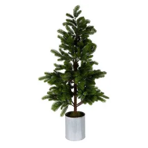 Marmont Tin Potted Pine Tree Large by Florabelle Living, a Plants for sale on Style Sourcebook