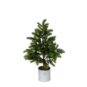 Marmont Tin Potted Pine Tree Small by Florabelle Living, a Plants for sale on Style Sourcebook