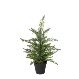 Heaton Forest Potted Pine Tree Small by Florabelle Living, a Plants for sale on Style Sourcebook