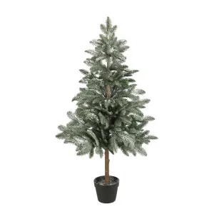 Moncton Frosted Potted Pine Tree Green by Florabelle Living, a Plants for sale on Style Sourcebook