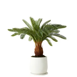 Cycas Mason Pot White & Green - 42cm x 42cm x 75cm by James Lane, a Plant Holders for sale on Style Sourcebook