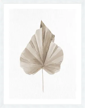 DRIED II - 76x61cm by La Grolla, a Prints for sale on Style Sourcebook