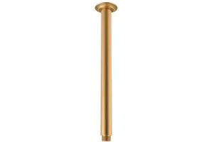 Eternal Shower Dropper 300mm Brushed Brass by ADP, a Shower Heads & Mixers for sale on Style Sourcebook