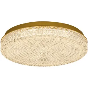 Calibo Ibis Crystalline 495mm Round LED CTC Light Gold by Calibo, a LED Lighting for sale on Style Sourcebook