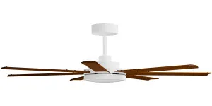 Calibo Alula 80" (2032mm) 7 Blade Indoor/Outdoor DC Ceiling Fan with 24W Light & Remote White & Koa by Calibo, a Ceiling Fans for sale on Style Sourcebook