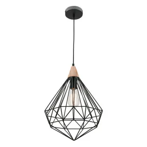 Raglan Wire Pendant Light 1 Light by Cougar, a Pendant Lighting for sale on Style Sourcebook