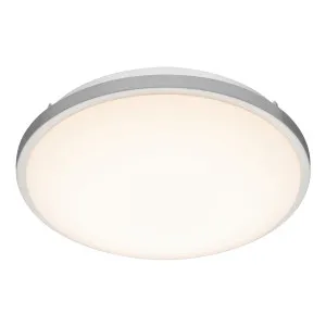 Mercator Tracy Dimmable Oyster Light 14W by Mercator, a Chandeliers for sale on Style Sourcebook