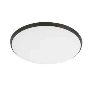 Eglo Ollie 12W Dimmable CCT LED Oyster Light IP54 Black by Eglo, a LED Lighting for sale on Style Sourcebook