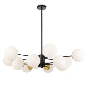 Telbix Marsten Black Glass Pendant (E27) 12 Light by Telbix, a Pendant Lighting for sale on Style Sourcebook