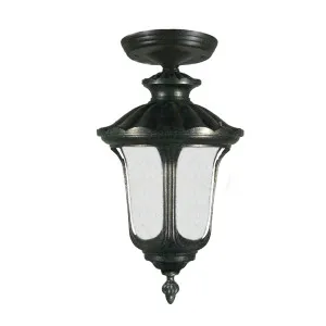 Lode Waterford Antique Black Under Eave Light IP44 Small by Lode International, a Outdoor Lighting for sale on Style Sourcebook