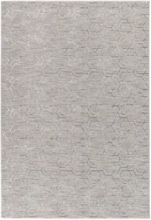 Versailles VERS2 Grey by Love That Homewares, a Contemporary Rugs for sale on Style Sourcebook