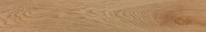 VERMONT OAK 200x1200 by Amber, a Porcelain Tiles for sale on Style Sourcebook