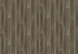 Timberline Plus | Ash Grey Plus by Armstrong Flooring, a Vinyl Sheets for sale on Style Sourcebook