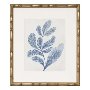 Indigo Blue Seaweed 2A Framed Print in 49 x 56cm by OzDesignFurniture, a Prints for sale on Style Sourcebook