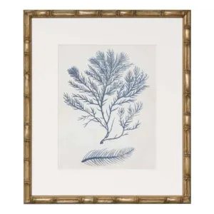 Indigo Blue Seaweed 2C Framed Print in 49 x 56cm by OzDesignFurniture, a Prints for sale on Style Sourcebook