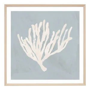 Coral Study Blue 1 Framed Print in 99 x 99cm by OzDesignFurniture, a Prints for sale on Style Sourcebook