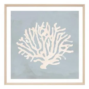 Coral Study Blue 2 Framed Print in 54 x 54cm by OzDesignFurniture, a Prints for sale on Style Sourcebook