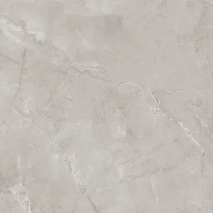 Ambience Artic Grey Matt Tile by Beaumont Max, a Marble Look Tiles for sale on Style Sourcebook