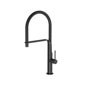 Vido Flexible Hose Sink Mixer 200 Matte Black by PHOENIX, a Kitchen Taps & Mixers for sale on Style Sourcebook