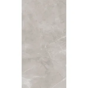 Ambience Artic Grey Polished Tile by Beaumont Max, a Marble Look Tiles for sale on Style Sourcebook