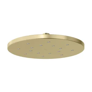 LuxeXP Shower Rose 250mm Round Brushed Gold by PHOENIX, a Shower Heads & Mixers for sale on Style Sourcebook