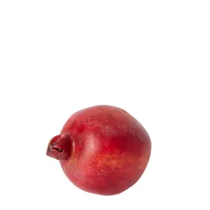 Pomegranate Decorative by James Lane, a Decor for sale on Style Sourcebook