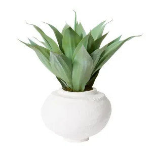 Agave Nomusa Paper Mache Vessel - 55cm x 55cm x 55cm by James Lane, a Plant Holders for sale on Style Sourcebook