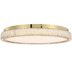 Telbix Lucent 600mm LED Oyster Light Gold by Telbix, a LED Lighting for sale on Style Sourcebook