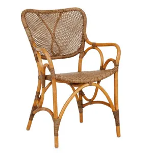 Luella Dining Armchair - Hazelnut by GlobeWest, a Chairs for sale on Style Sourcebook