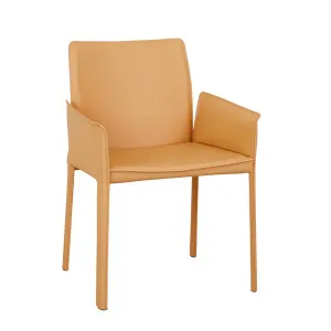 Lachlan Dining Armchair - Desert Sand by GlobeWest, a Chairs for sale on Style Sourcebook