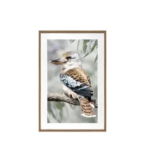 Kiro Kookaburra Framed Wall Art 80cm x 120cm by Luxe Mirrors, a Artwork & Wall Decor for sale on Style Sourcebook