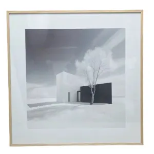 P005 Oak Framed Perspex Glass Canvas Art Print  100 cm x 100 cm by null, a Painted Canvases for sale on Style Sourcebook