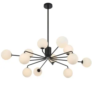 Telbix Felton 12 Light Pendant Black and Opal Matt by Telbix, a Pendant Lighting for sale on Style Sourcebook